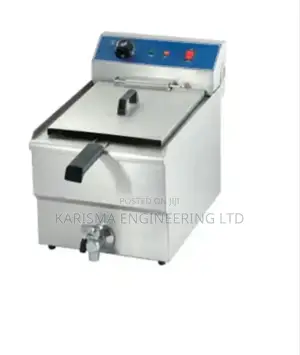 Stainless Steel Single Caterina Fryer