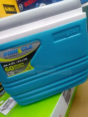 Pinnacle 25 Litres Capacity Cooler Box