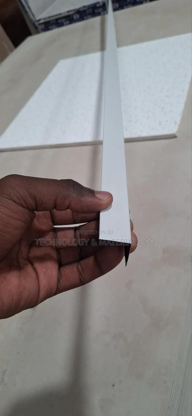 Acoustic Ceiling Angle-3m - main view