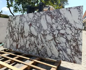 Calacatta Viola Sintered Stone(10.5ft * 5.2ft * 12mm)