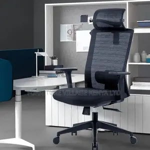 Ergonomic Office Seat; 
Executive Mesh Chair