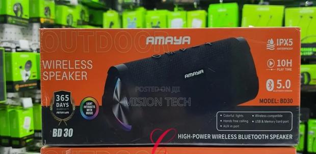 Amaya BD30 Wireless Speaker - main view
