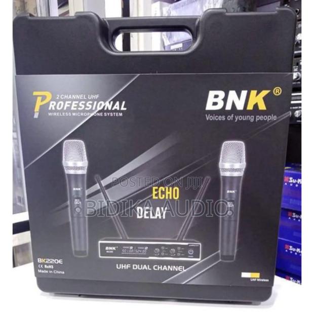 BNK BK220E Eco Delay 2 Channels UHF Wireless Microphone