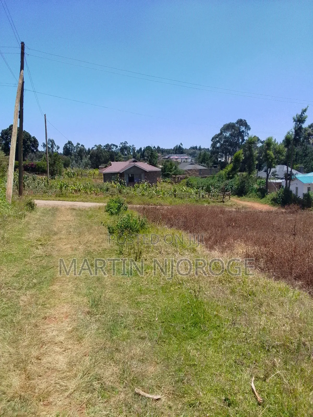 50 by 100 Lower Ngarariga