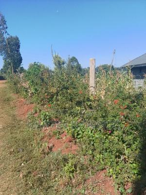 50 by 100 Gikambura - thumbnail 2