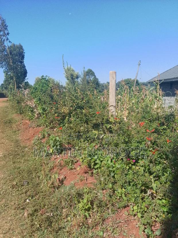 50 by 100 Gikambura - main view