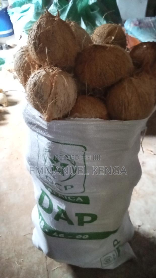 Coconuts - thumbnail 3