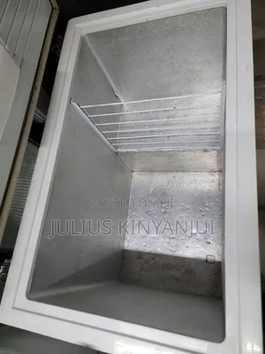 Butchery Chest Freezer 250L