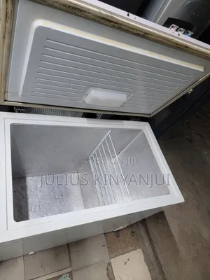 Butchery Chest Freezer 250L