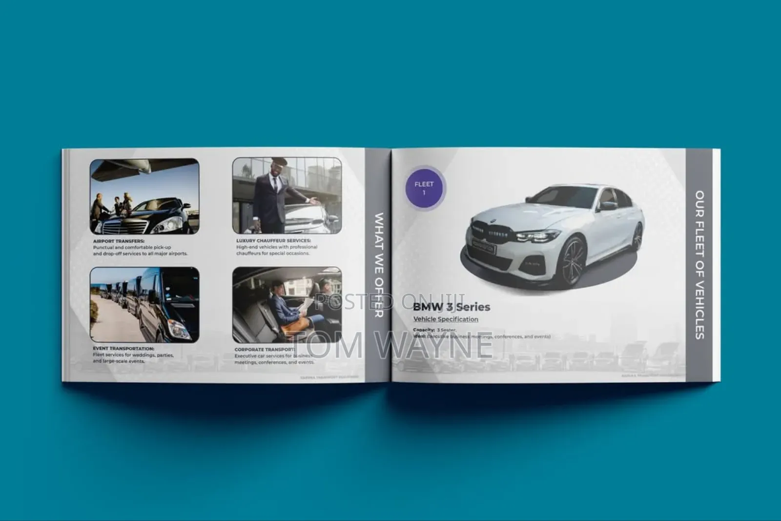 Company Profiles