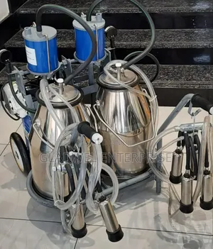 Double Barrel Commercial Milking Machine