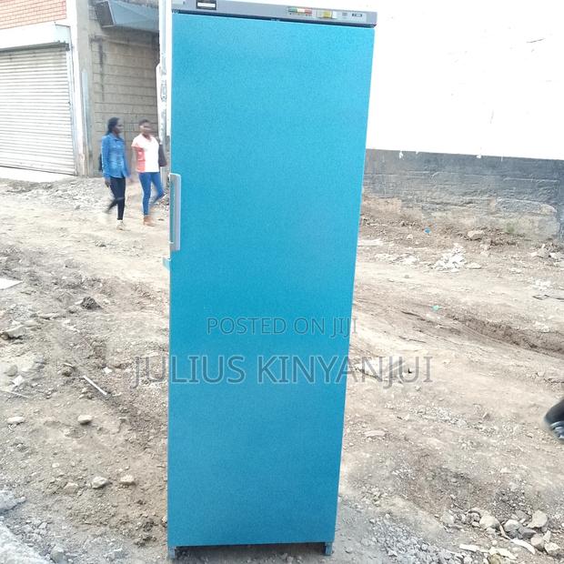 Commercial Upright Freezer - main view