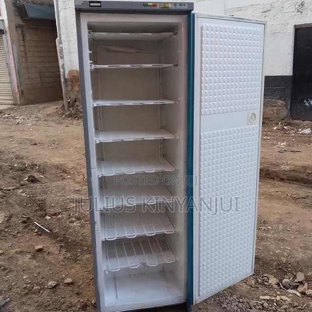 Commercial Upright Freezer - thumbnail 2