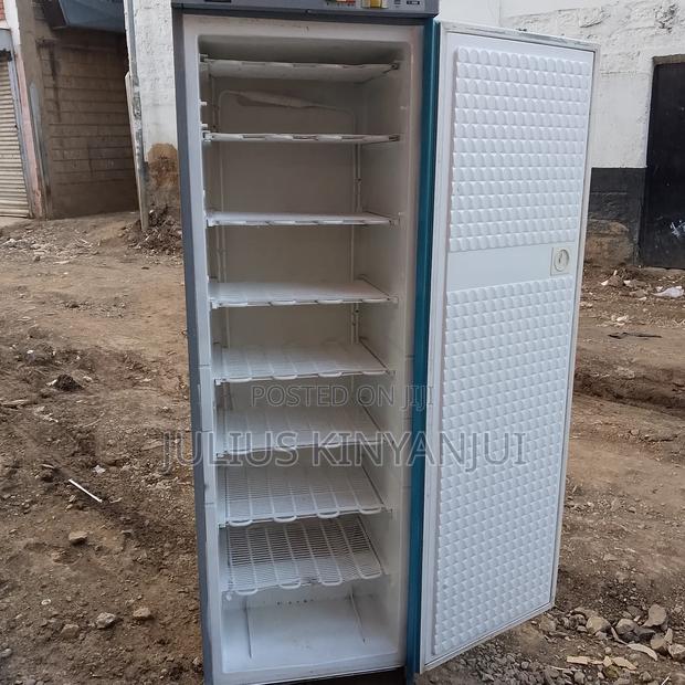 Commercial Upright Freezer - thumbnail 3