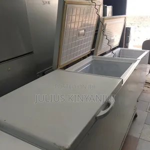 Large Two Doors Chest Freezer