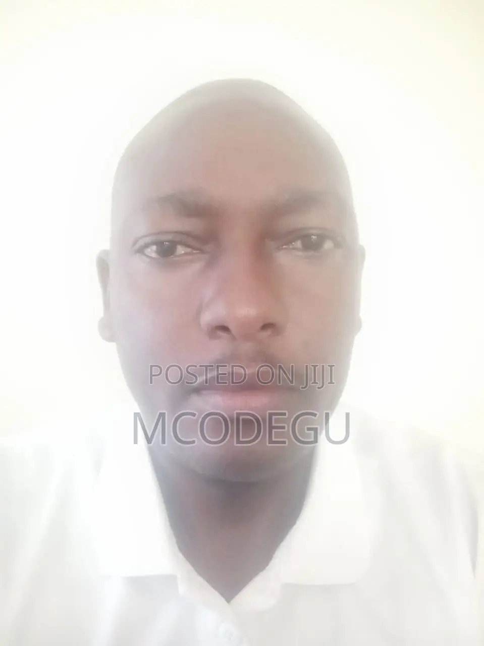 Sales Distributor