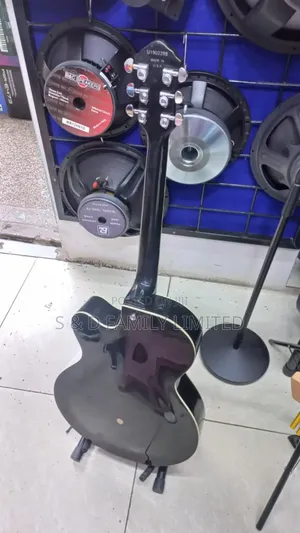 Ibanez Semi Hollow Electric Guitar