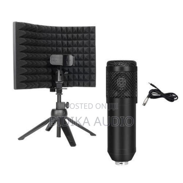 Condenser Microphone Bundle,Bm800 Mic Set for Studio XLR