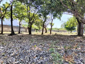 Prime Residential Half Acre Land