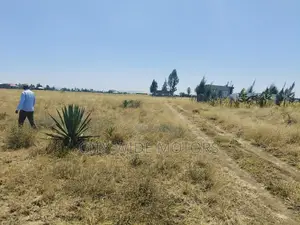 40x80 Plot on Sale at Kantafu