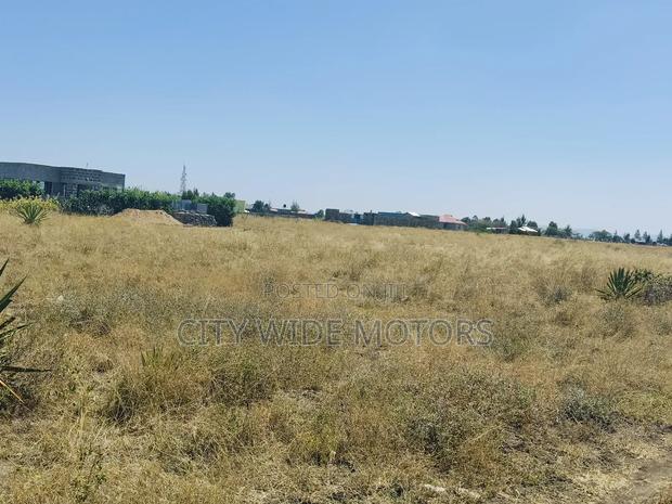 40x80 Plot on Sale at Kantafu - thumbnail 4