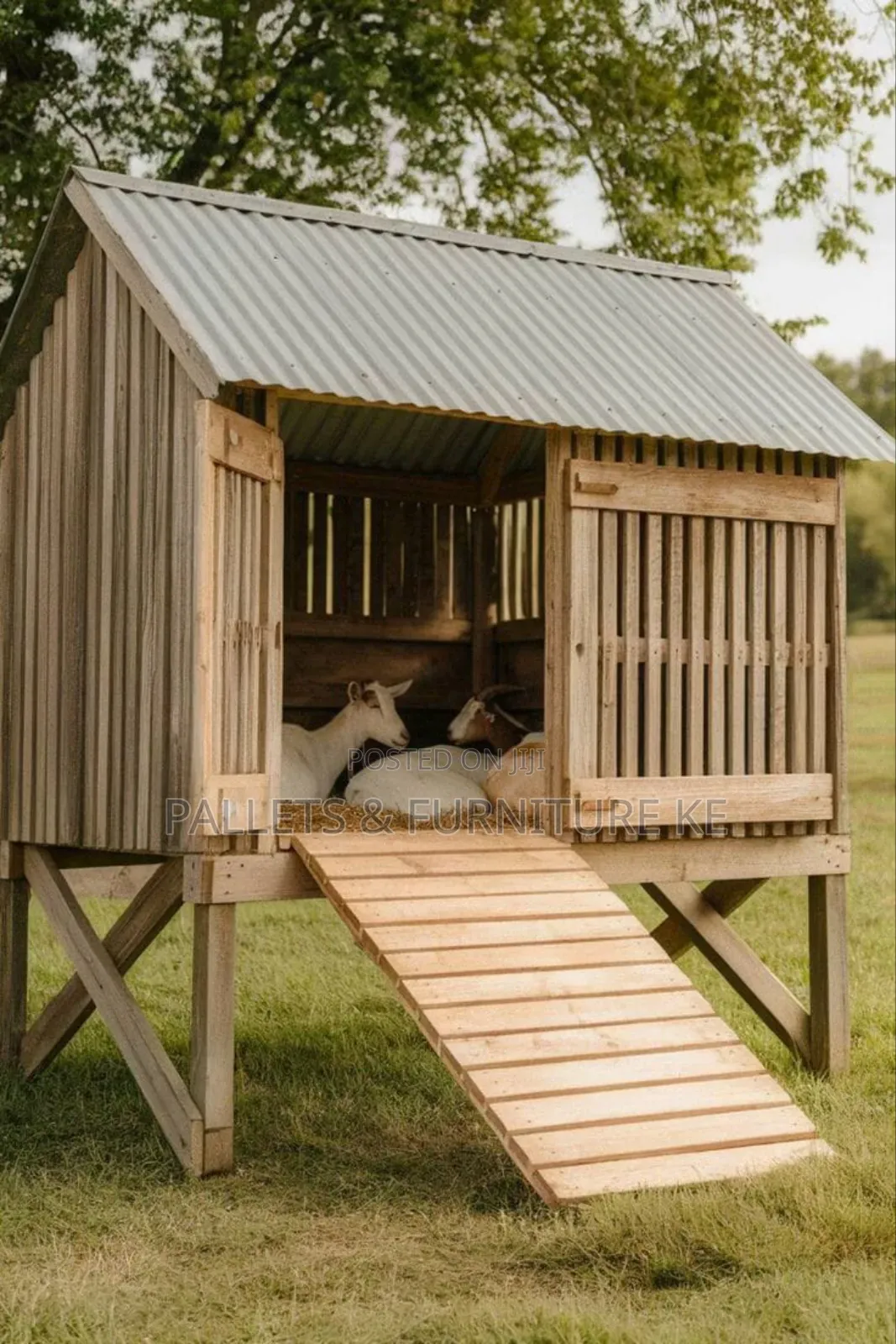 Goat Shelter