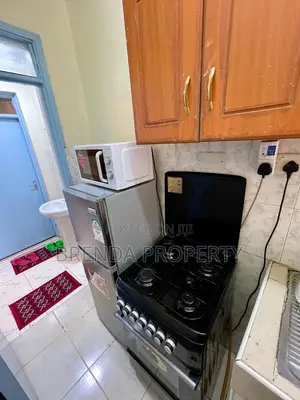 One Bedroomed Airbnb in Roysambu, TRM Drive, Nairobi