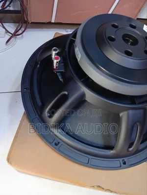 Brand New Derwell Professional Loudspeaker Available