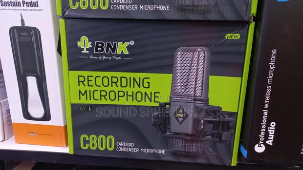 BNK C800 Condenser Microphone - thumbnail 2