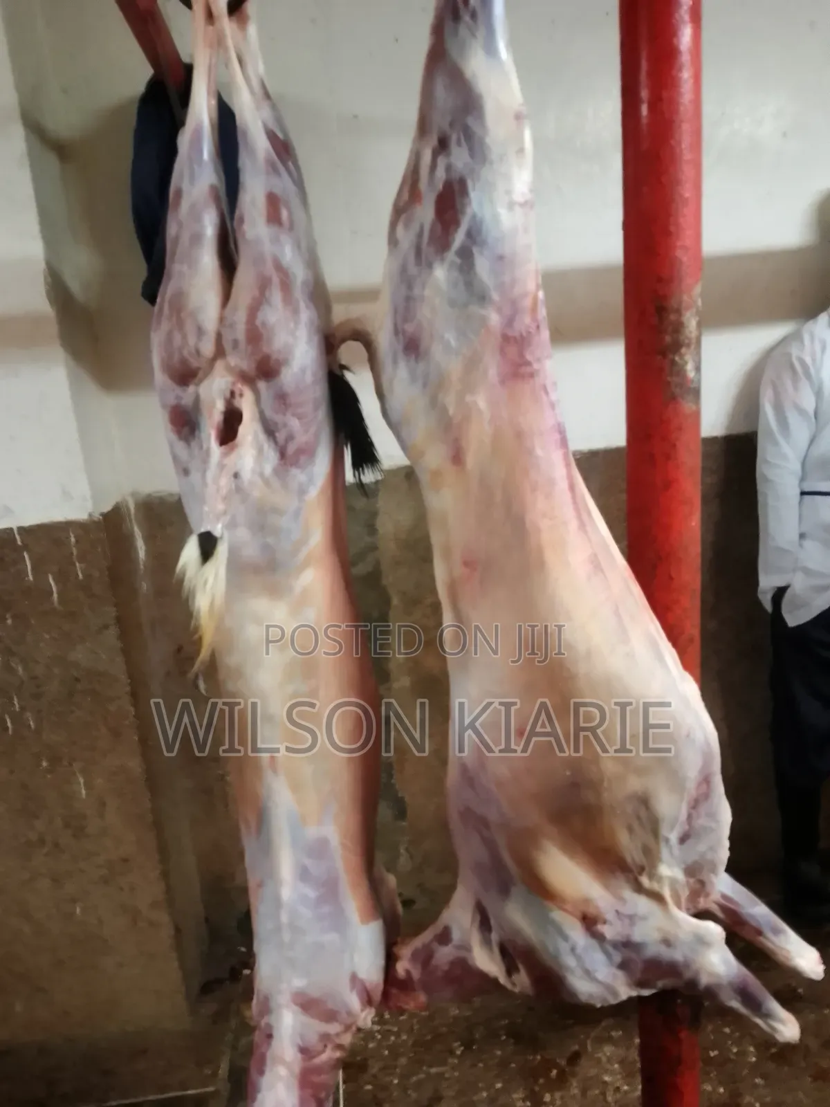 Goat Meat in Wholesale