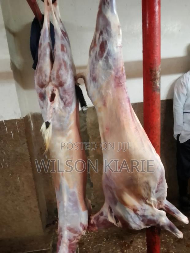 Goat Meat in Wholesale - thumbnail 2