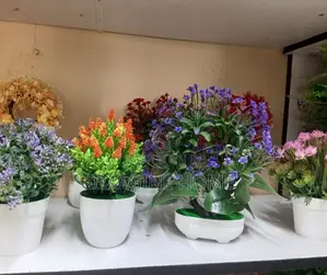 Flowers Decoration