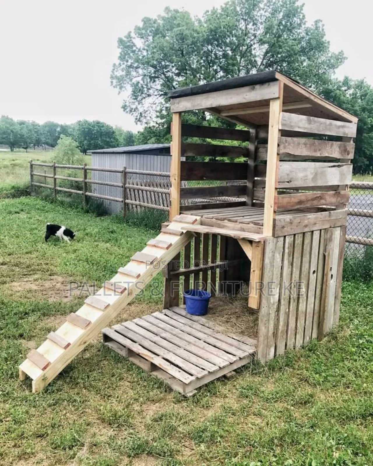 Wooden Pallet Chicken House