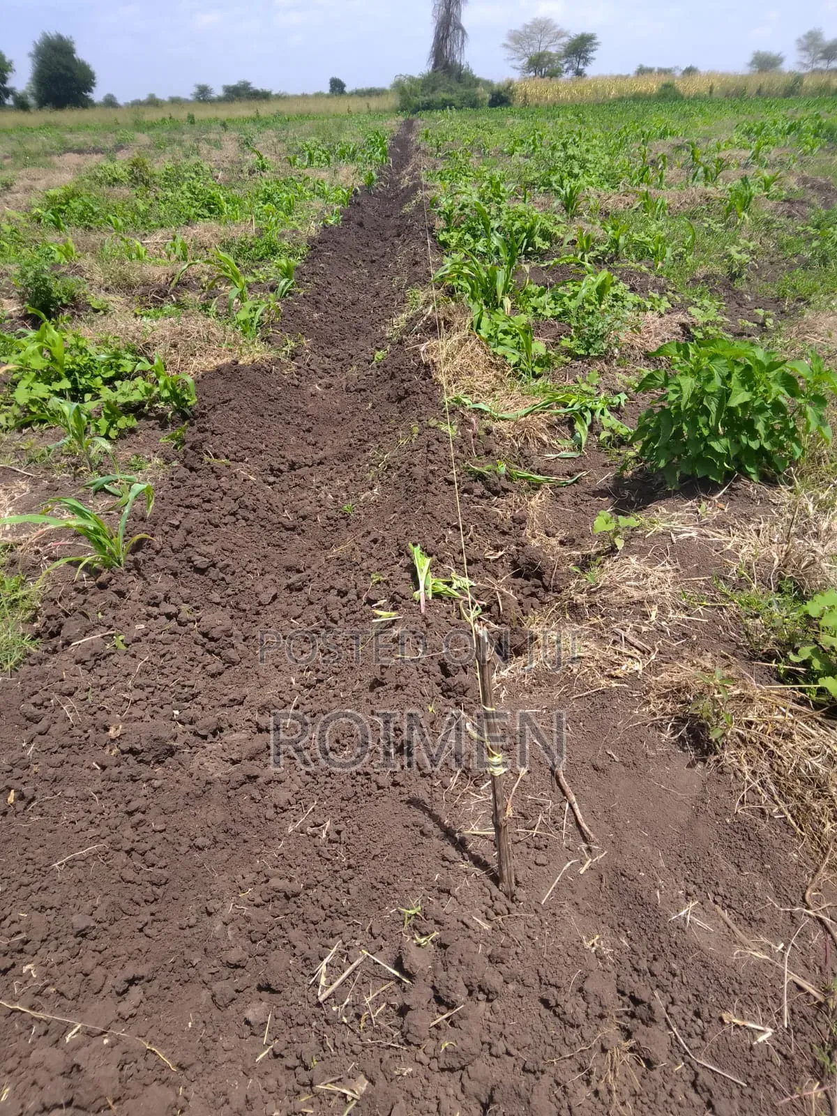 2 Acres With a Borehole.