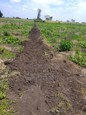 2 Acres With a Borehole.