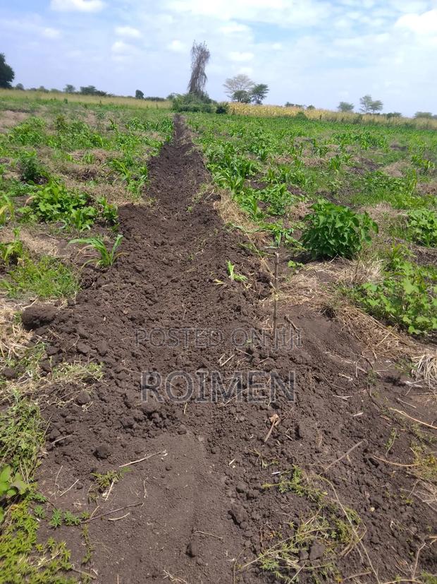 2 Acres With a Borehole. - thumbnail 2