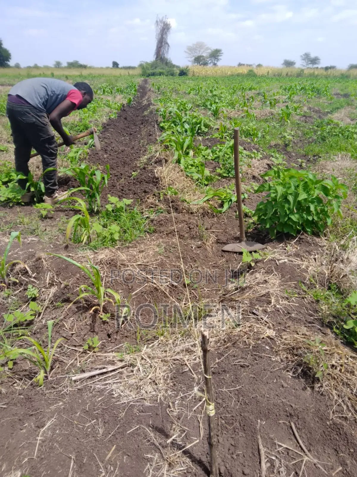 2 Acres With a Borehole.