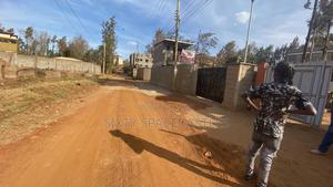 0.25 Acre Kiamumbi - thumbnail 2