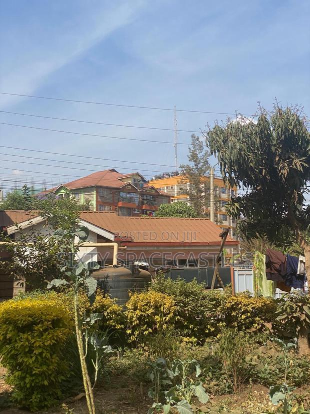 0.25 Acre Kiamumbi - thumbnail 4