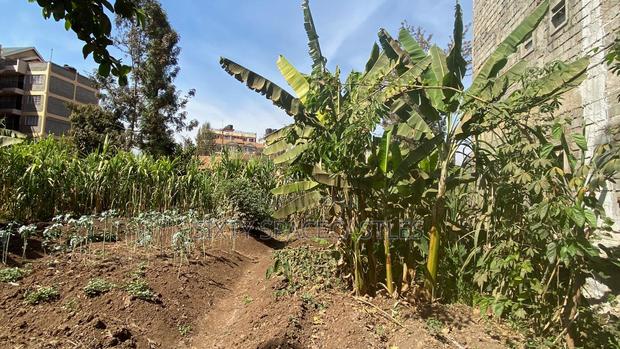 0.25 Acre Kiamumbi - thumbnail 6