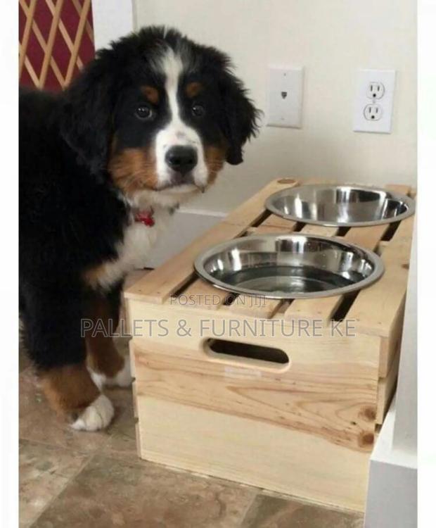 Pet Feeder - main view