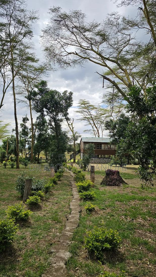 Prime Campsite for Sale Touching Lake Elementaita - thumbnail 9