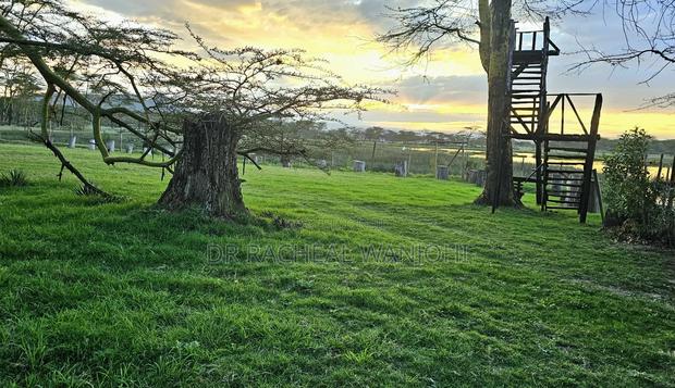 Prime Campsite for Sale Touching Lake Elementaita - thumbnail 8