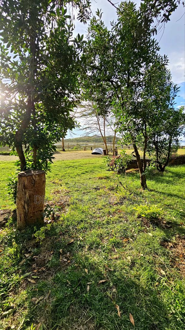 Prime Campsite for Sale Touching Lake Elementaita - thumbnail 6