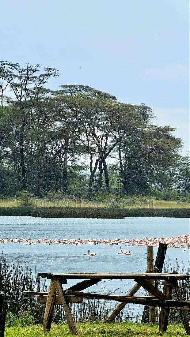 Prime Campsite for Sale Touching Lake Elementaita - thumbnail 5