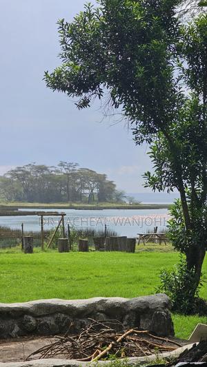 Prime Campsite for Sale Touching Lake Elementaita - thumbnail 2