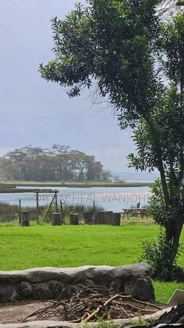 Prime Campsite for Sale Touching Lake Elementaita - main view