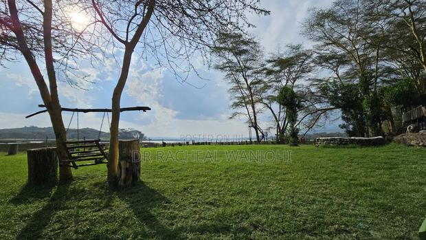 Prime Campsite for Sale Touching Lake Elementaita - thumbnail 10