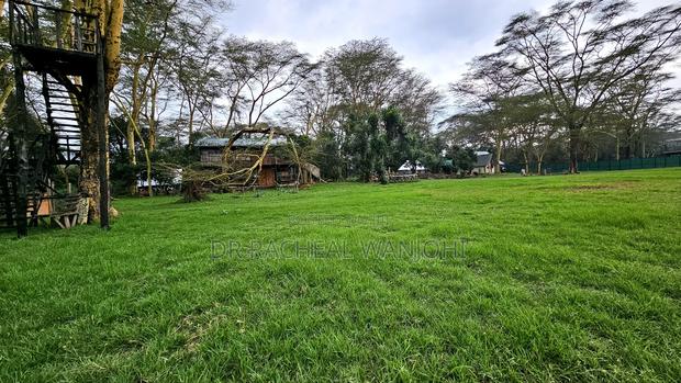 Prime Campsite for Sale Touching Lake Elementaita - thumbnail 3