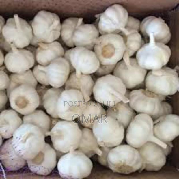 10kg Carton Imported White Garlic